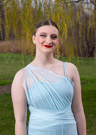 T42_2529_(2)