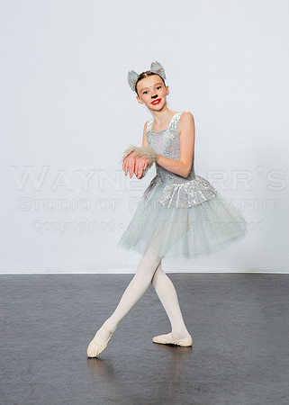 Group_10_P2_Patenaude_Alydia_2033