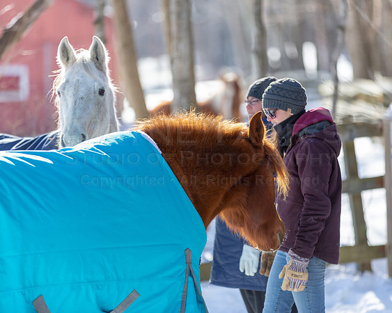 TWS_0070_DER1_02019