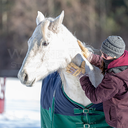 TWS_0094_DER1_02019