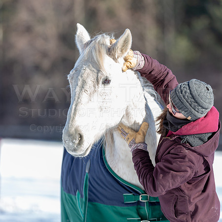 TWS_0089_DER1_02019
